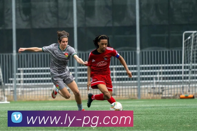 pg电子全站App pg电子全站App